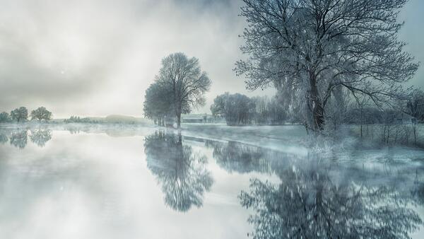 Bild vergrößern: Bäume um Ufer eines Flusses im Nebel