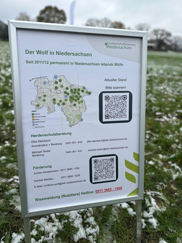 Bild vergr&ouml;&szlig;ern: der Wolf in Niedersachsen