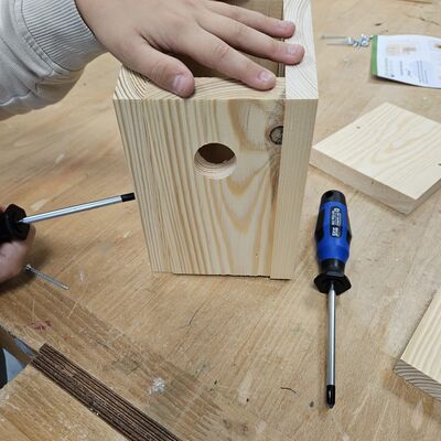 Bild vergr&ouml;&szlig;ern: Sch&uuml;ler bauen Nistk&auml;sten