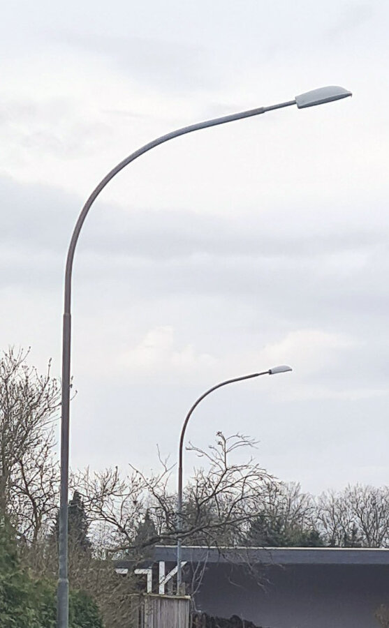 Bild vergr&ouml;&szlig;ern: Zwei Laternen stehen vor kahlen B�umen.