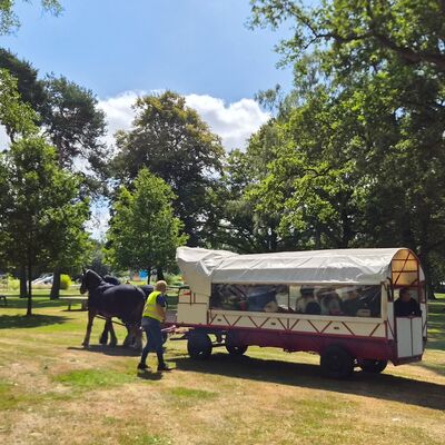 Bild vergr&ouml;&szlig;ern: Kutschwagen Ponytreck
