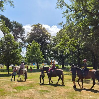 Bild vergr&ouml;&szlig;ern: Ponytreck - Kinder reiten zur Vorstellung