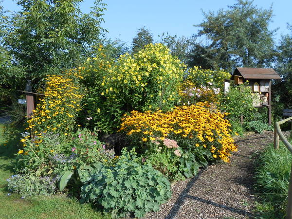 Der Insektengarten NKS